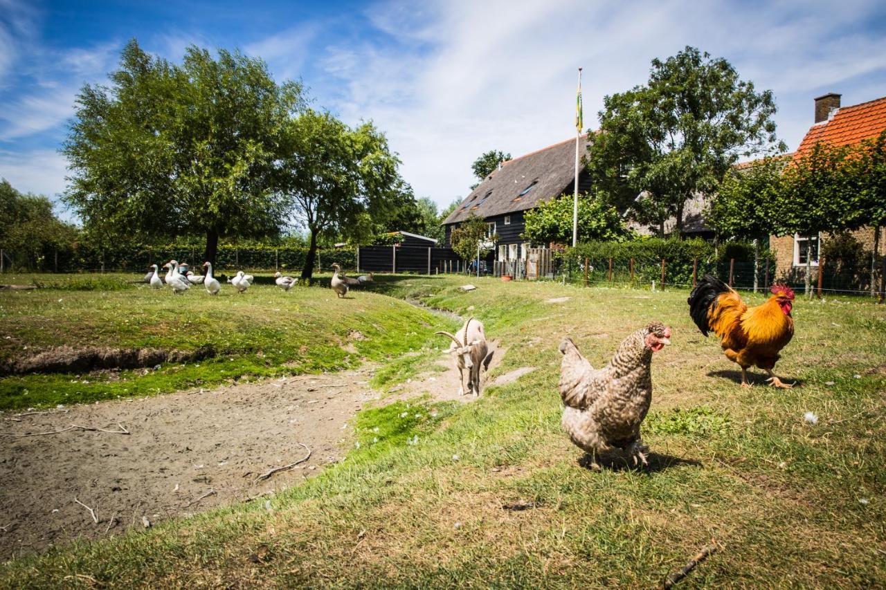 Welcome In - Oranjezon - Vakantiehuizen 2 & 4 Personen Vrouwenpolder Dış mekan fotoğraf